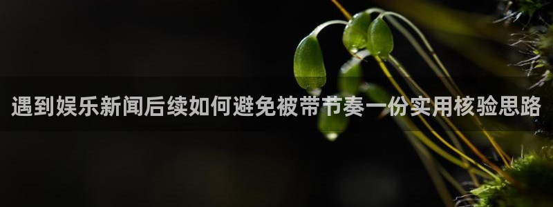 黑料爆料热点大全：遇到娱乐新闻后续如何避免被带节奏一份实用核验思路