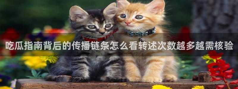 黑料爆料最新话题:吃瓜指南背后的传播链条怎么看转述次数越多越需核验