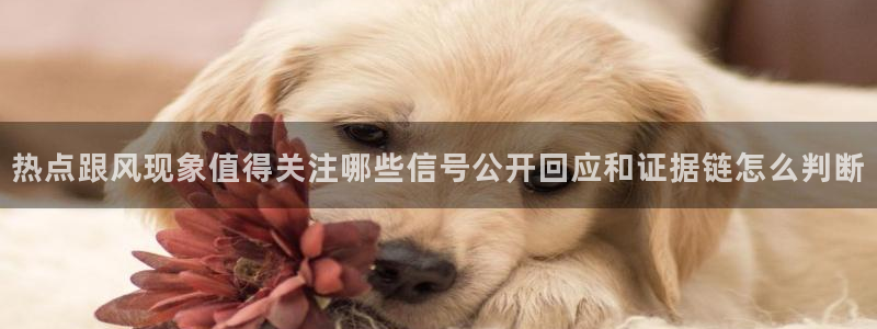 热点爆料资讯：热点跟风现象值得关注哪些信号公开回应和证据链怎么判断