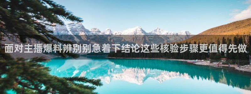黑料热点动态:面对主播爆料辨别别急着下结论这些核验步骤更值得先做