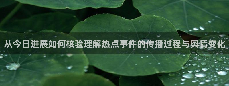 黑料事件新闻：从今日进展如何核验理解热点事件的传播过程与舆情变化