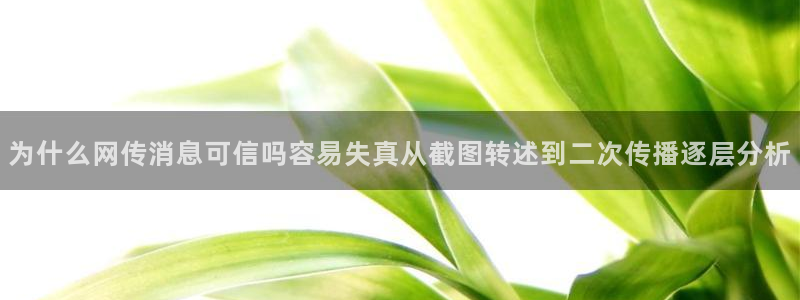 黑料资讯：为什么网传消息可信吗容易失真从截图转述到二次传播逐层分析
