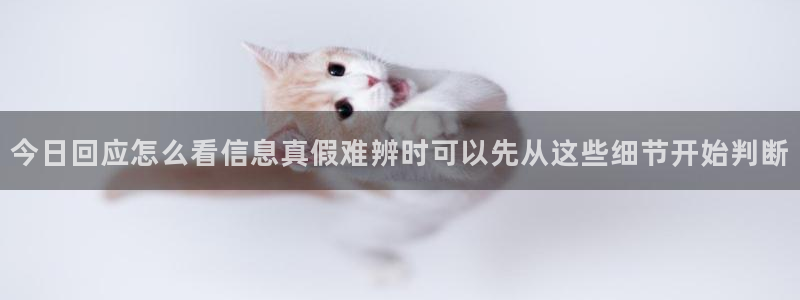 黑料爆料热搜榜：今日回应怎么看信息真假难辨时可以先从这些细节开始判断