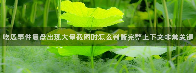 黑料爆料信息：吃瓜事件复盘出现大量截图时怎么判断完整上下文非常关键