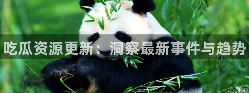 热门资讯爆料：吃瓜资源更新：洞察最新事件与趋势