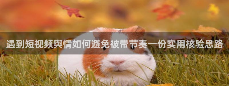 黑料网络新闻：遇到短视频舆情如何避免被带节奏一份实用核验思路