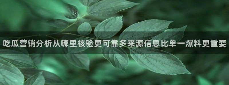 黑料资讯网：吃瓜营销分析从哪里核验更可靠多来源信息比单一爆料更重要