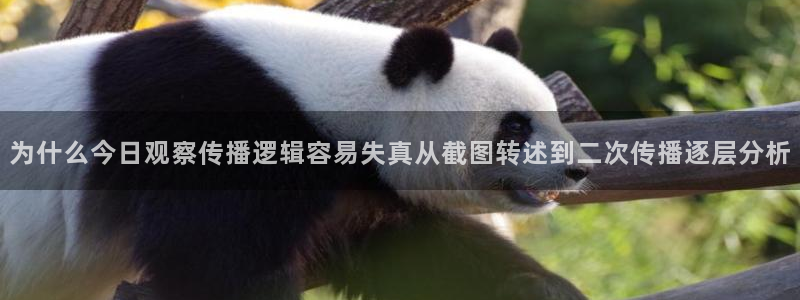 事件爆料动态