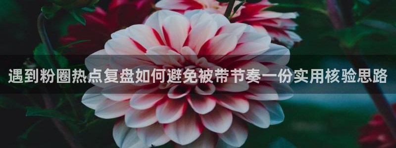 热门网络话题