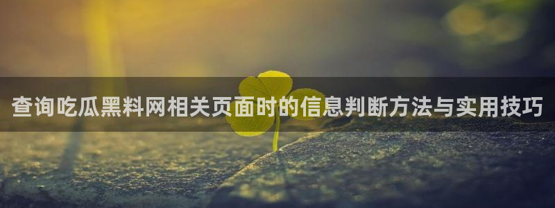 网络资讯动态